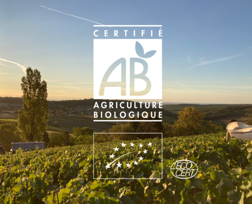 vignes_AB